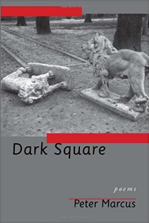 Cover of the book Dark Square by Peter Marucs, PBS Publications