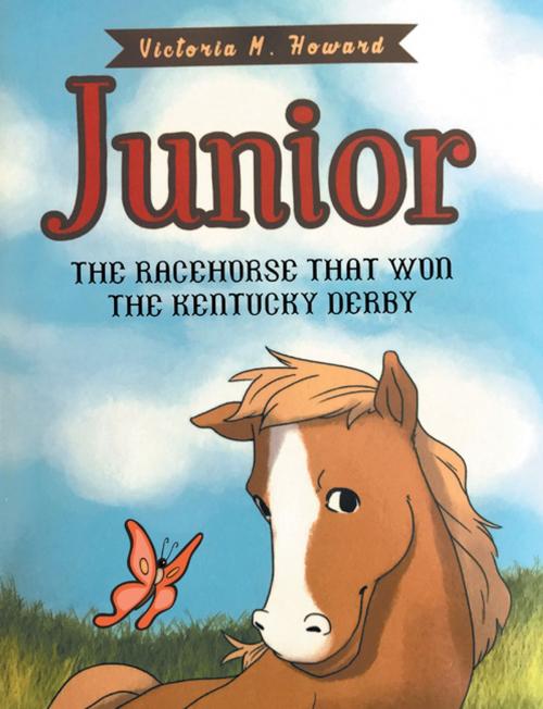 Cover of the book Junior by Victoria M. Howard, AuthorHouse
