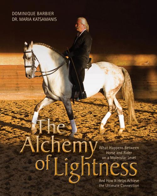 Cover of the book The Alchemy of Lightness by Dominique Barbier, Maria Katsamanis, Trafalgar Square Books