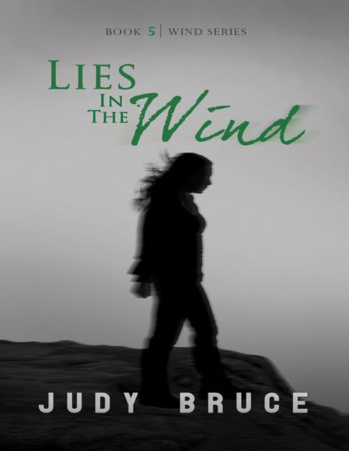 Cover of the book Lies In the Wind: Book 5 Wind Series by Judy Bruce, Merriam Press