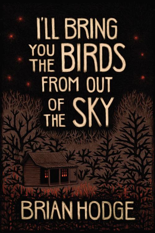 Cover of the book I'll Bring You the Birds from out of The Sky by Brian Hodge, Cemetery Dance Publications