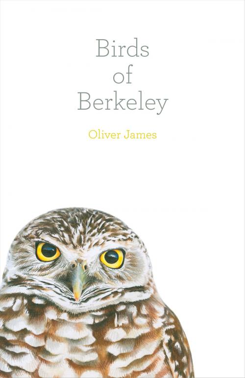 Cover of the book Birds of Berkeley by Oliver James, Heyday
