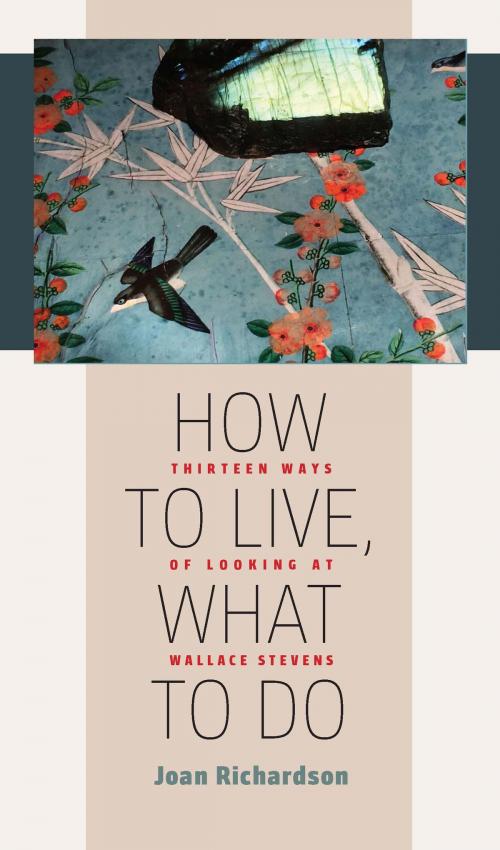 Cover of the book How to Live, What to Do by Joan Richardson, University of Iowa Press