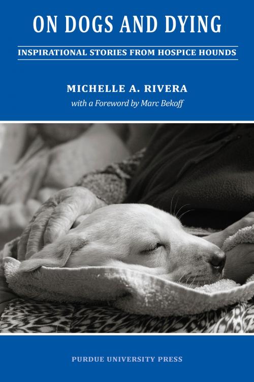 Cover of the book On Dogs and Dying by Michelle A. Rivera, Purdue University Press