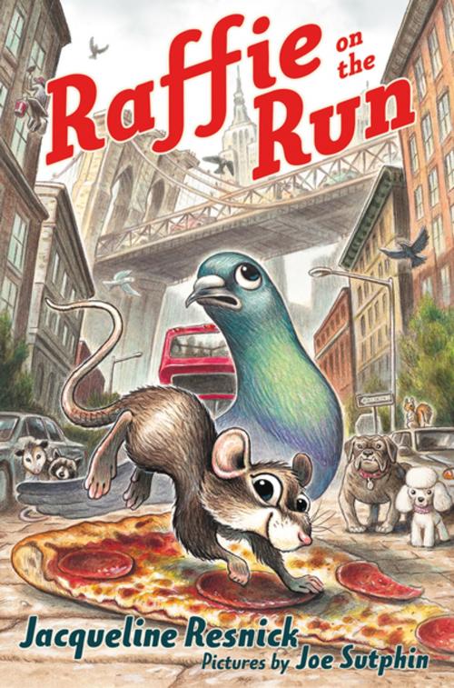 Cover of the book Raffie on the Run by Jacqueline Resnick, Roaring Brook Press