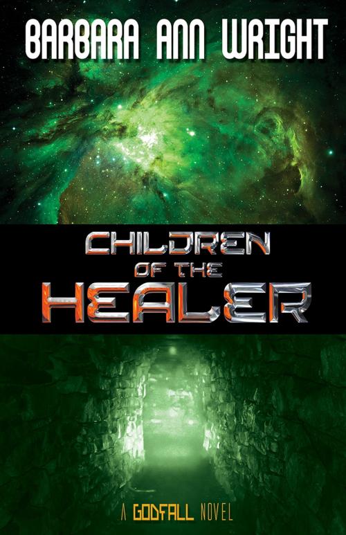 Cover of the book Children of the Healer by Barbara Ann Wright, Bold Strokes Books, Inc.