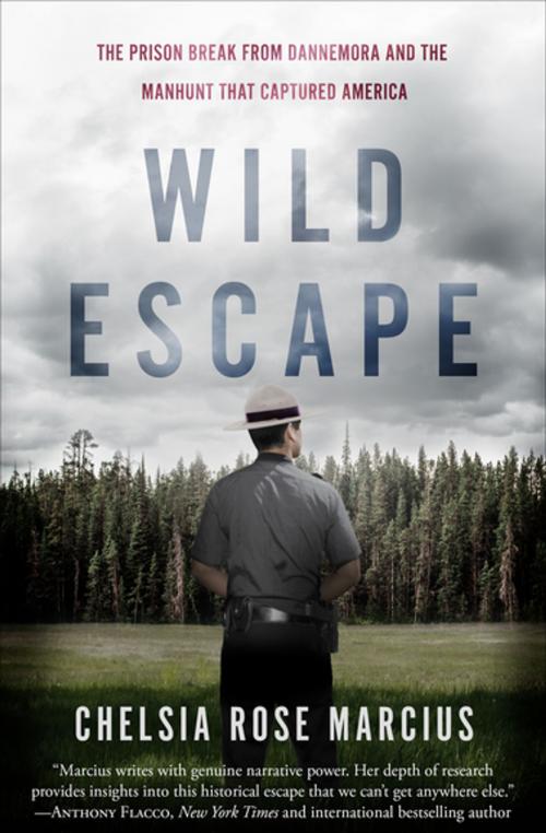 Cover of the book Wild Escape by Chelsia Rose Marcius, Diversion Books