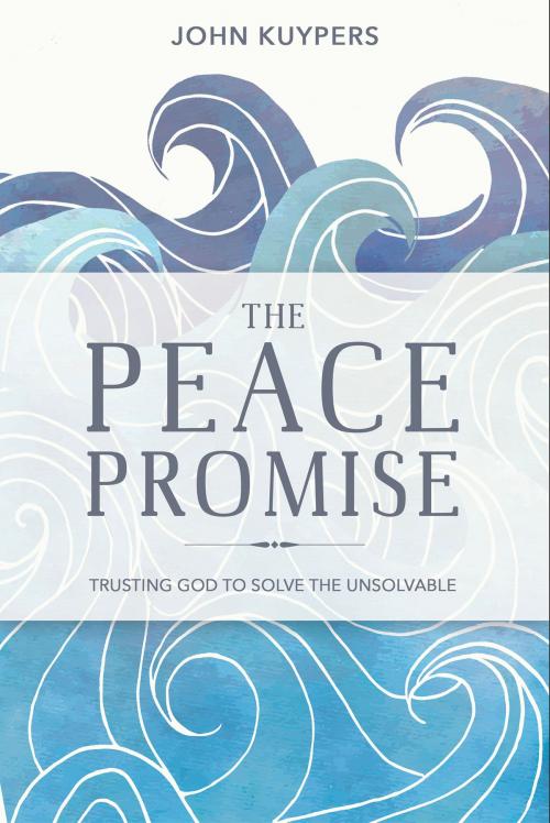 Cover of the book The Peace Promise by John Kuypers, Wellspring