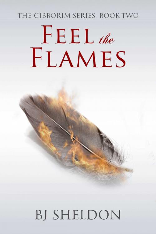 Cover of the book Feel the Flames by BJ Sheldon, Whiskey Creek Press