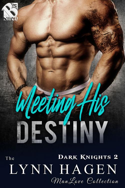 Cover of the book Meeting His Destiny by Lynn Hagen, Siren-BookStrand
