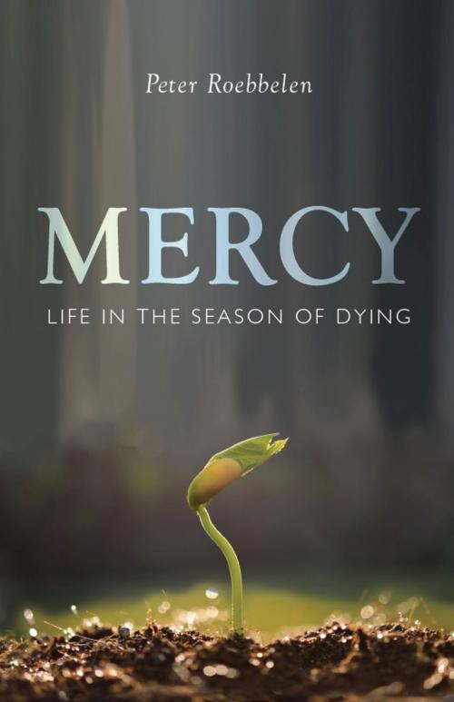 Cover of the book Mercy by Peter Roebbelen, Paraclete Press