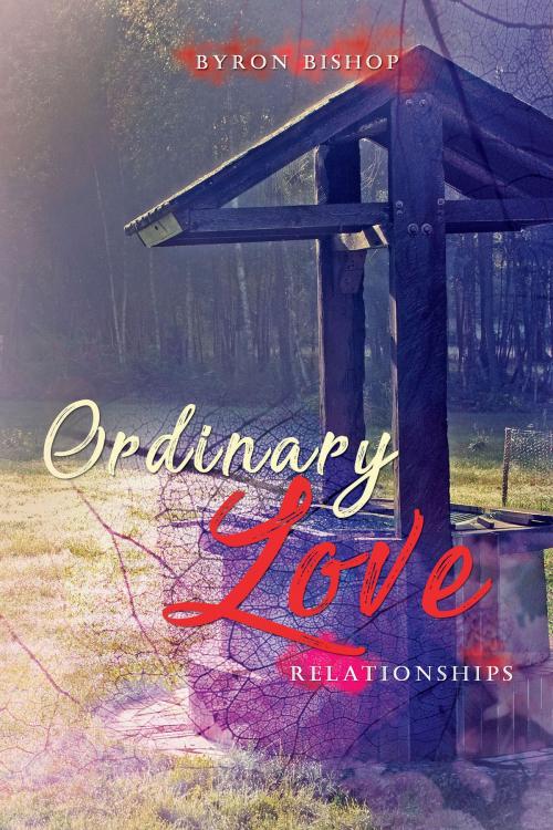 Cover of the book Ordinary Love Relationship by Byron Bishop, BookVenture Publishing LLC