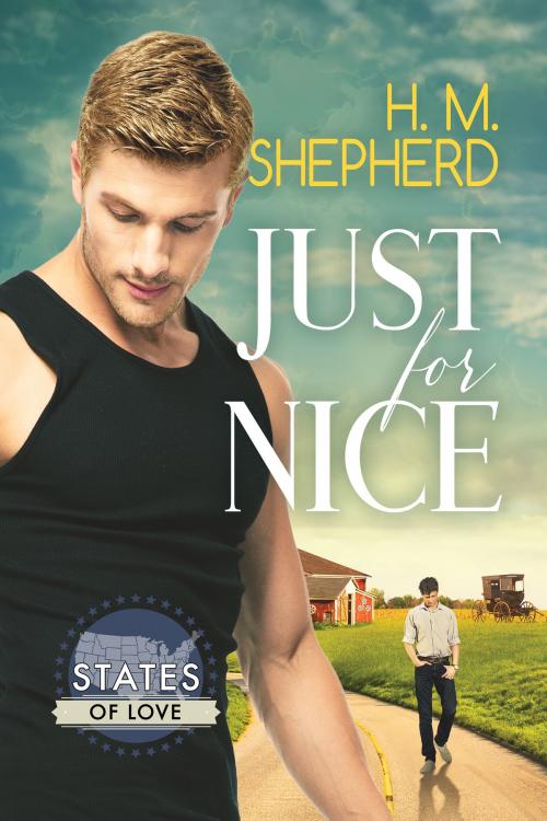 Cover of the book Just for Nice by H.M. Shepherd, Dreamspinner Press