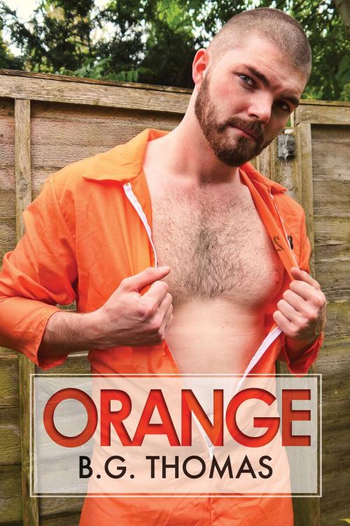 Cover of the book Orange by B.G. Thomas, Dreamspinner Press
