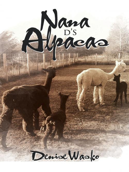 Cover of the book Nana D's Alpacas by Denise Wasko, Denise Wasko