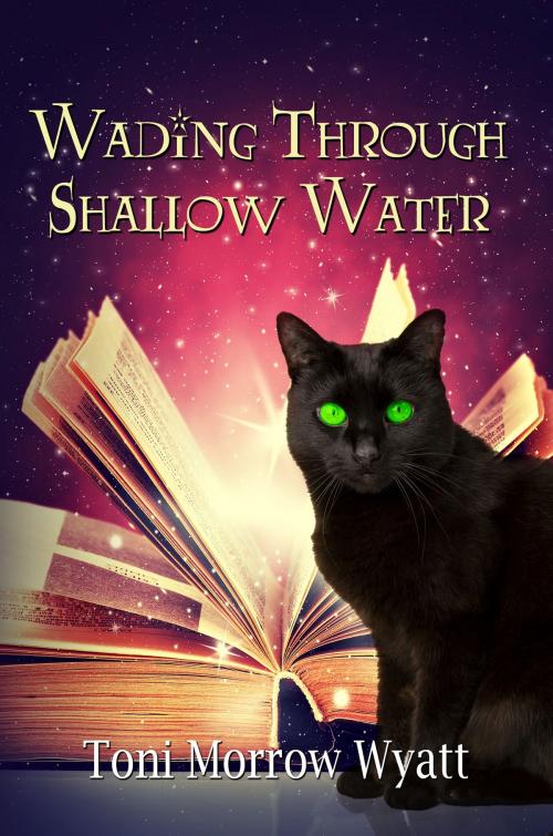 Cover of the book Wading Through Shallow Water by Toni Morrow Wyatt, Melange Books, LLC