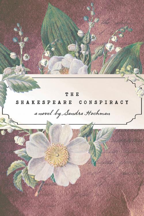 Cover of the book The Shakespeare Conspiracy by Sandra Hochman, Turner Publishing Company