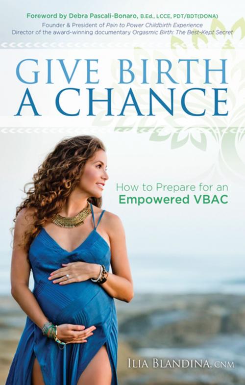 Cover of the book Give Birth a Chance by Ilia Blandina, CNM, Morgan James Publishing