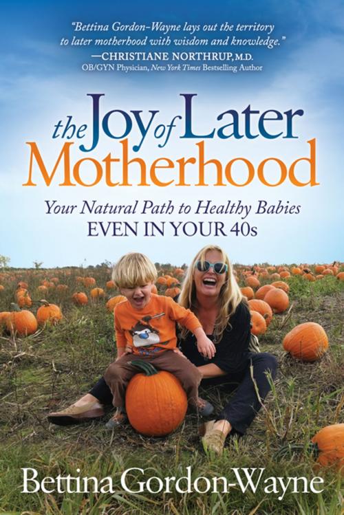 Cover of the book The Joy of Later Motherhood by Bettina Gordon-Wayne, Morgan James Publishing