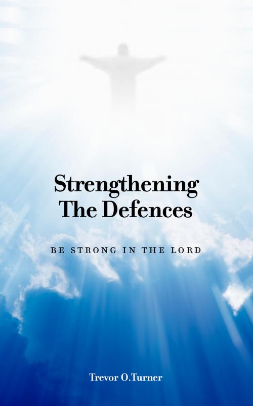 Cover of the book Strengthening the Defences by Trevor O. Turner, Tellwell Talent
