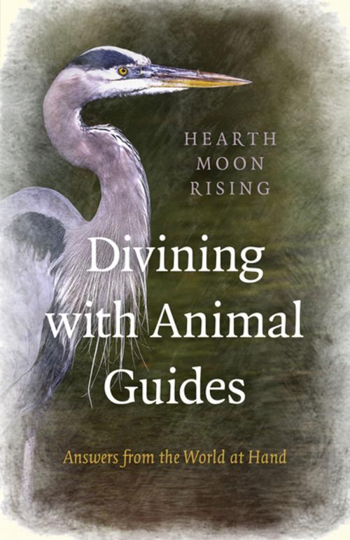 Cover of the book Divining with Animal Guides by Hearth Moon Rising, John Hunt Publishing