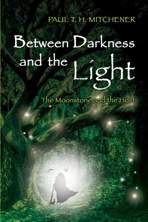 Cover of the book Between Darkness and the Light by Paul T. H. Mitchener, Brown Dog Books