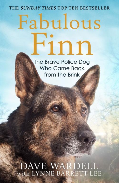 Cover of the book Fabulous Finn by Dave Wardell, Quercus Publishing