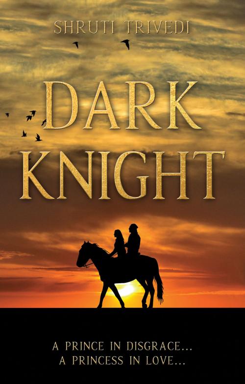 Cover of the book Dark Knight by Shruti Trivedi, Troubador Publishing Ltd