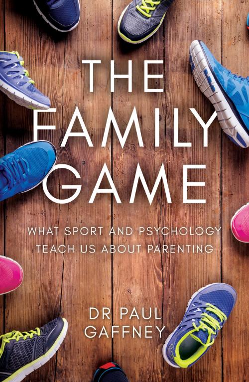 Cover of the book The Family Game by Dr Paul Gaffney, Troubador Publishing Ltd