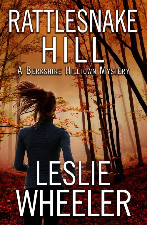 Cover of the book Rattlesnake Hill by Leslie Wheeler, Encircle Publications