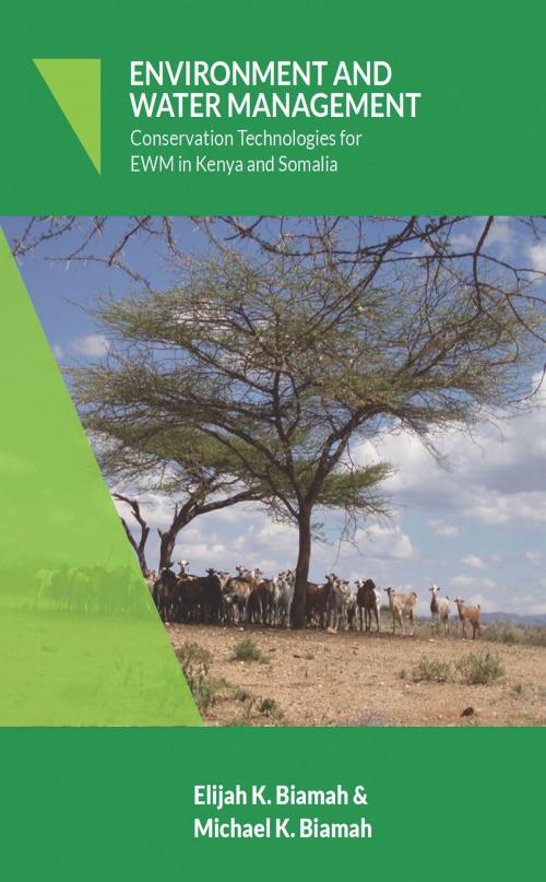Cover of the book Environment And Water Management by Prof. Elijah K Biamah, Eng. Michael K Biamah, Dolman Scott Publishing