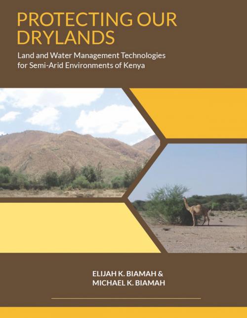 Cover of the book Protecting Our Drylands by Prof. Elijah K. Biamah, Dolman Scott Publishing