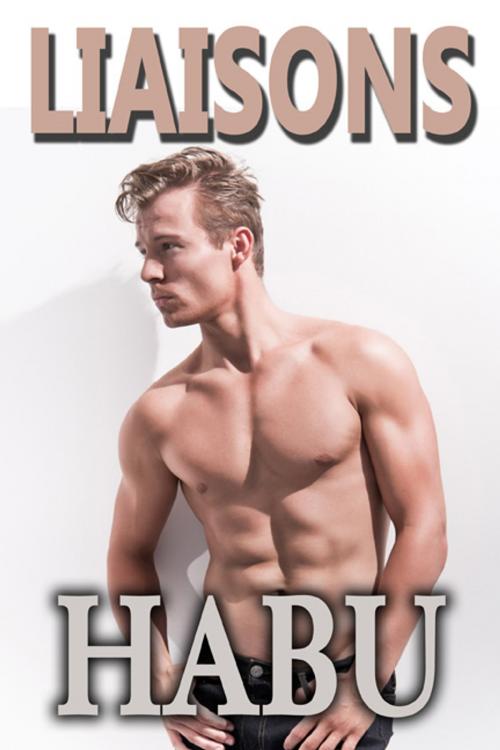 Cover of the book Liaisons by habu, BarbarianSpy