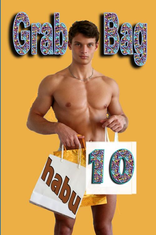 Cover of the book Grab Bag 10 by Habu, BarbarianSpy