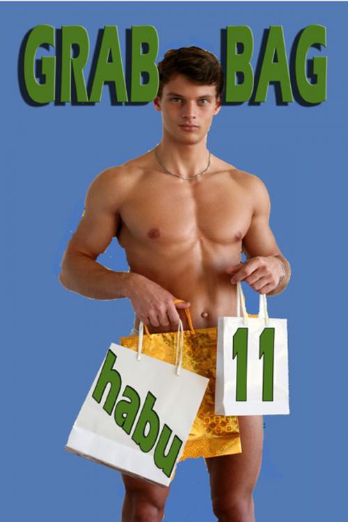 Cover of the book Grab Bag 11 by habu, BarbarianSpy