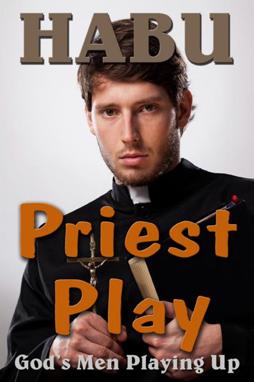 Cover of the book Priest Play by habu, BarbarianSpy