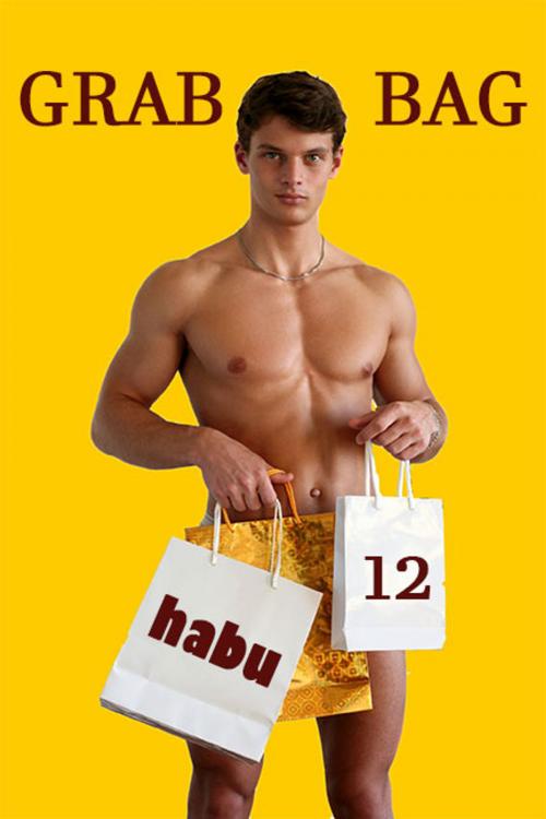 Cover of the book Grab Bag 12 by habu, BarbarianSpy