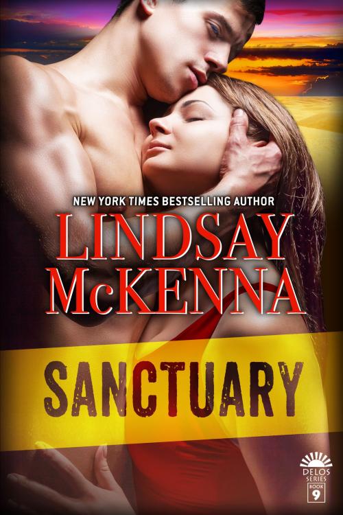 Cover of the book Sanctuary by Lindsay McKenna, Blue Turtle Publishing