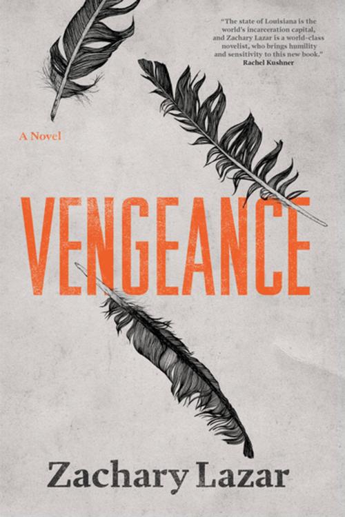Cover of the book Vengeance by Zachary Lazar, Catapult
