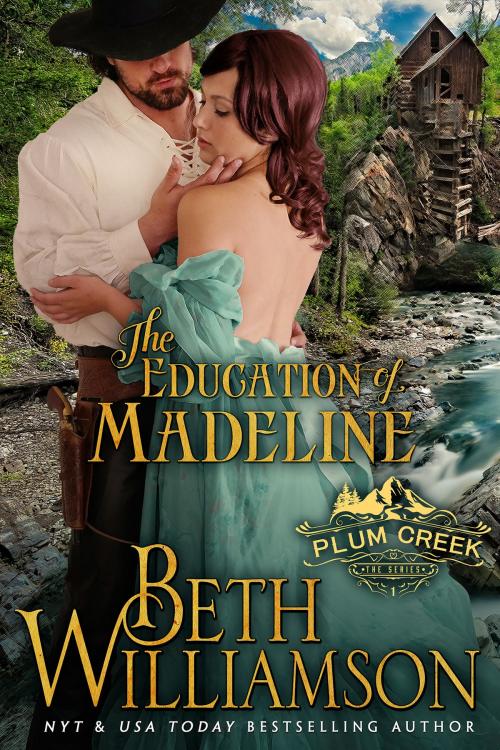 Cover of the book The Education of Madeline by Beth Williamson, Beth Williamson