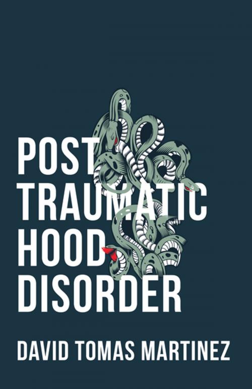 Cover of the book Post Traumatic Hood Disorder by David Tomas Martinez, Sarabande Books