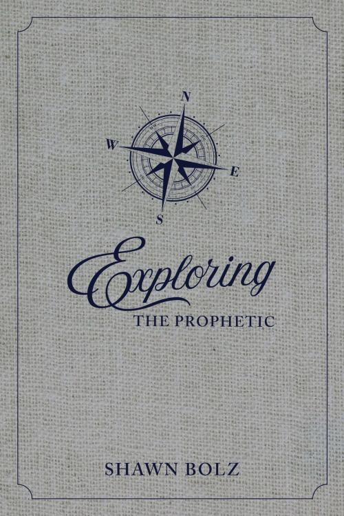 Cover of the book Exploring the Prophetic by Shawn Bolz, Newtype Publishing