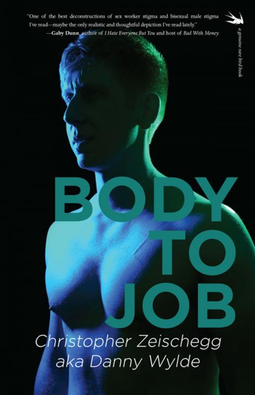 Cover of the book Body to Job by Christoper Zeischegg, Danny Wylde, Rare Bird Books