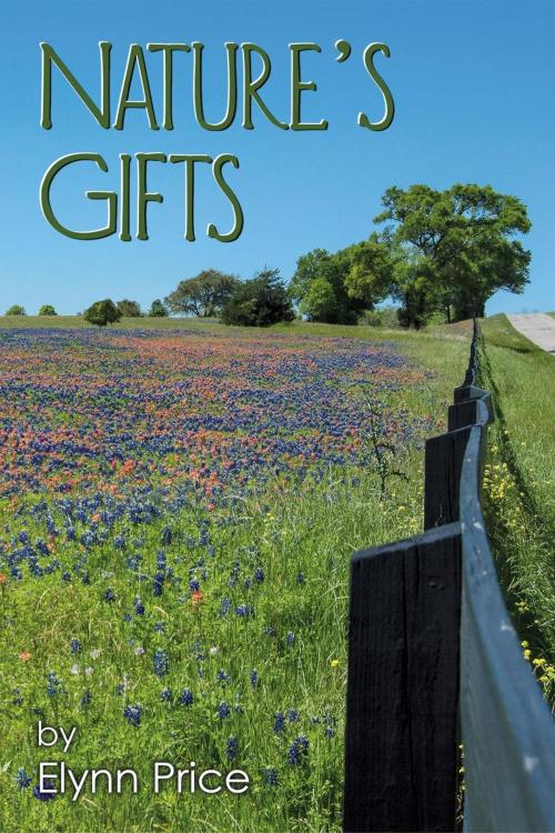 Cover of the book Nature's Gifts by Elynn Price, Elynn Price