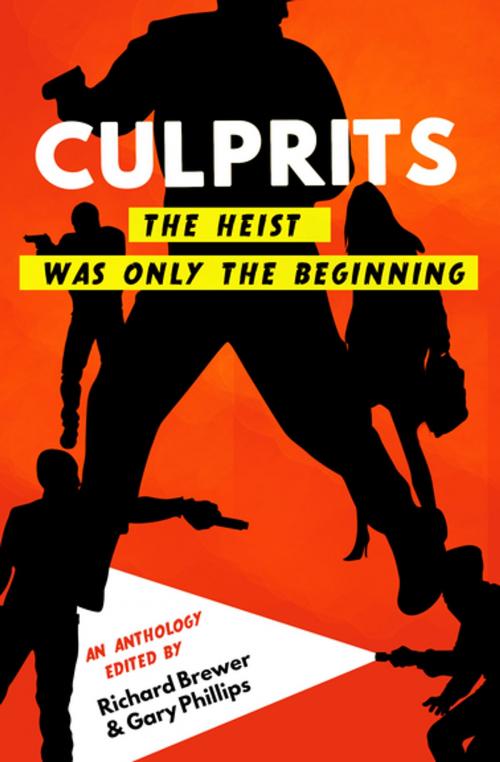 Cover of the book Culprits by , Polis Books