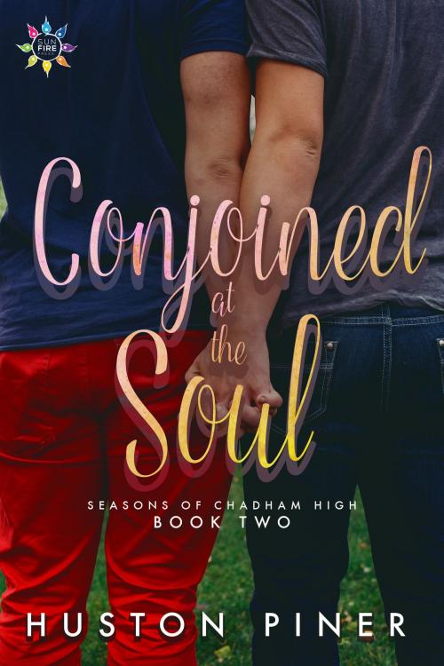 Cover of the book Conjoined at the Soul by Huston Piner, Nine Star Press