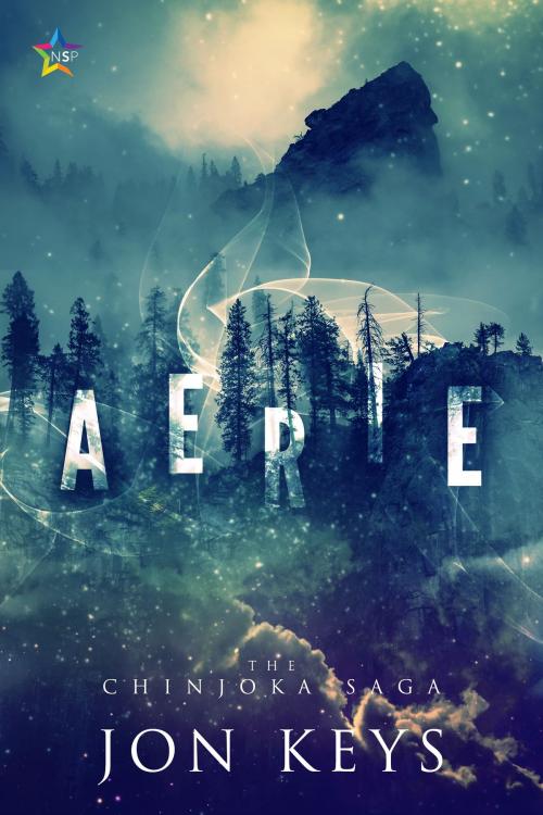 Cover of the book Aerie by Jon Keys, Nine Star Press