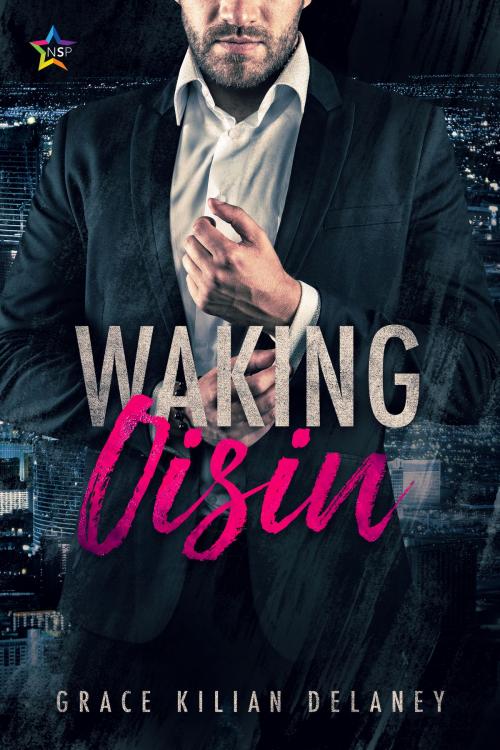 Cover of the book Waking Oisin by Grace Kilian Delaney, Nine Star Press
