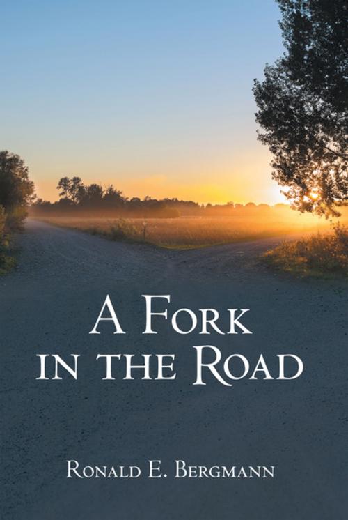 Cover of the book A Fork in the Road by Ronald E. Bergmann, WestBow Press
