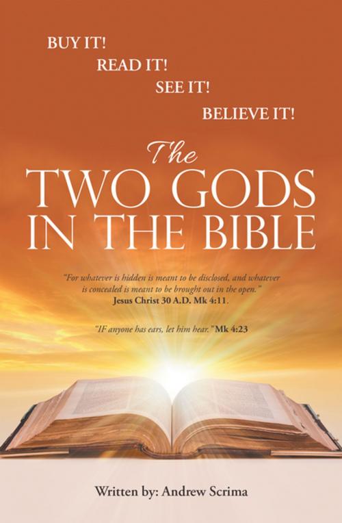 Cover of the book The Two Gods in the Bible by Andrew Scrima, Xlibris US